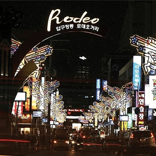 강남탐정사무소