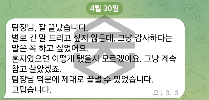 탐정사무소 후기